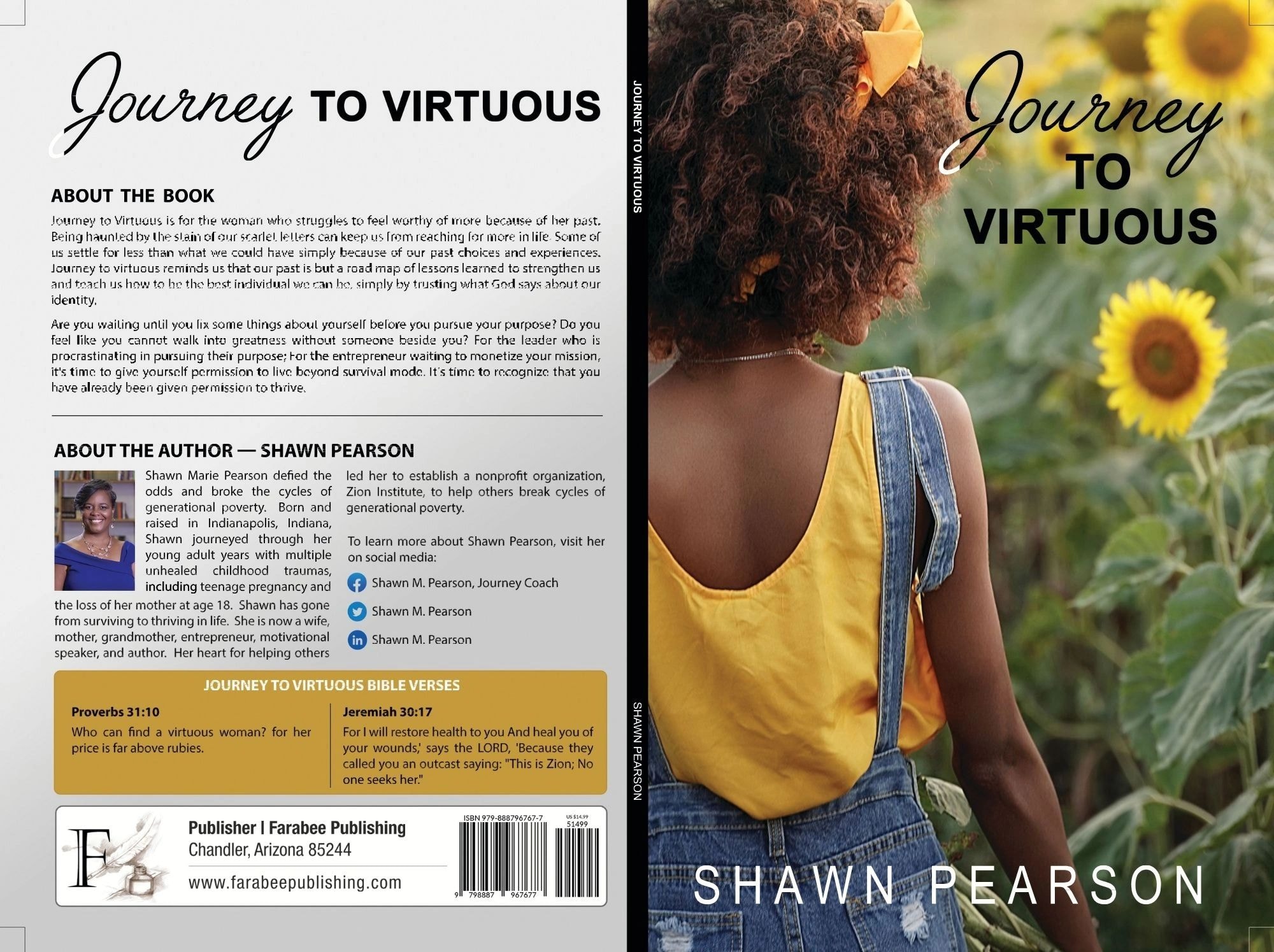 Journey to Virtuous book cover